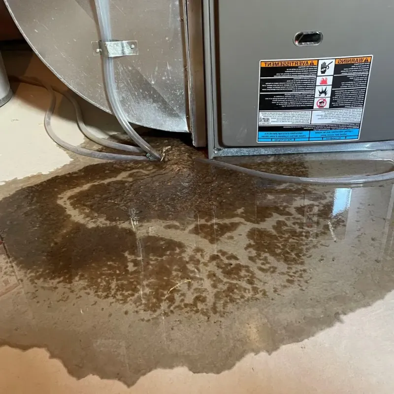 Pipe Burst and Leak Restoration in La Luisa, PR