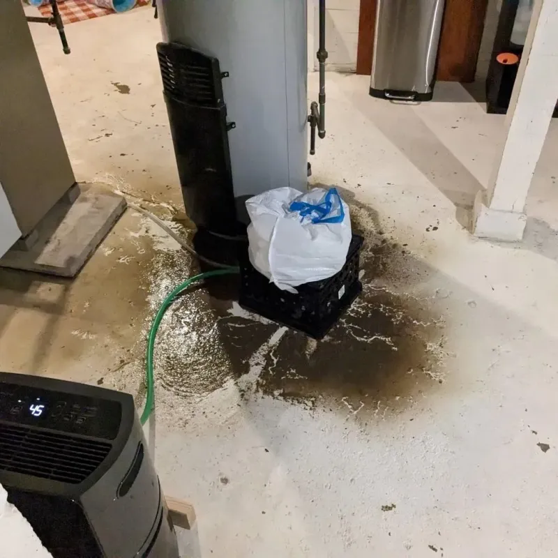 Sewage Backup Cleanup Service in La Luisa, PR